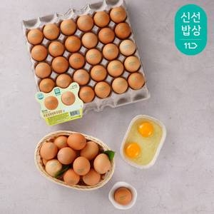 [불명] 아주농장 난각번호1번 방목 유정란 60구_이미지