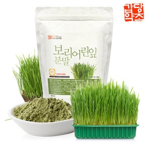갑당약초 보리새싹가루 300g (3개)_이미지