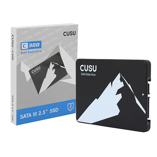 TWSC CUSU C300 (256GB)_이미지