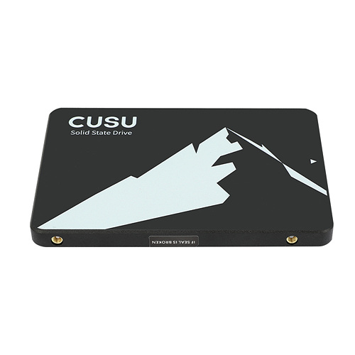 TWSC CUSU C300 (256GB)_이미지