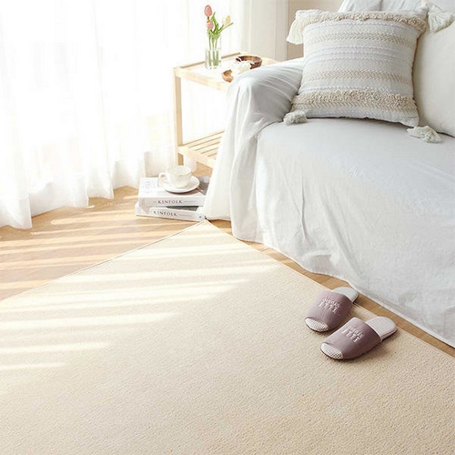 레시앙뜨 파스텔 단모 사계절 사각 러그 (300x200cm)