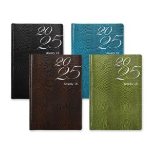 ������ 2025 ����18 ���̾