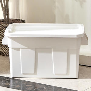 아소리빙 리벤스 그란데 대용량 리빙박스 75L (1개)_이미지