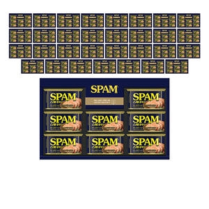 CJ제일제당 스팸 12호 (32개)_이미지