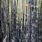 하늘농가 순수국산 무시래기 50g (3개)