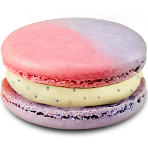 �ް�MGCĿ�� �������� ������ ��ī�� ��ȯ��