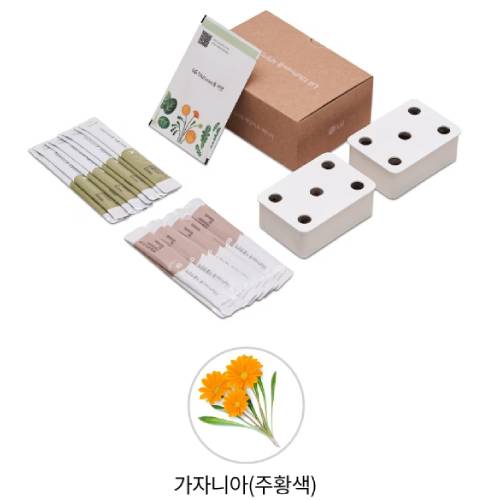 LG전자 틔운 미니 씨앗키트 패키지 가자니아 주황색