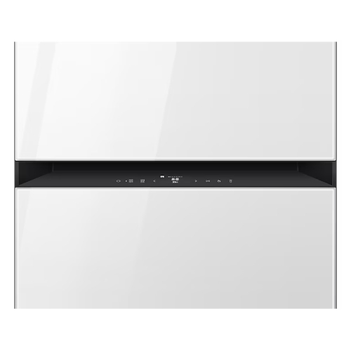 �Ｚ���� ����ũ ����巹�� DF24CB9900DR