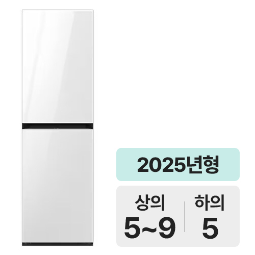 삼성전자 비스포크 에어드레서 DF24CB9900DR_이미지