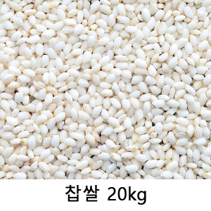 ����׸� 2023 ���� 20kg