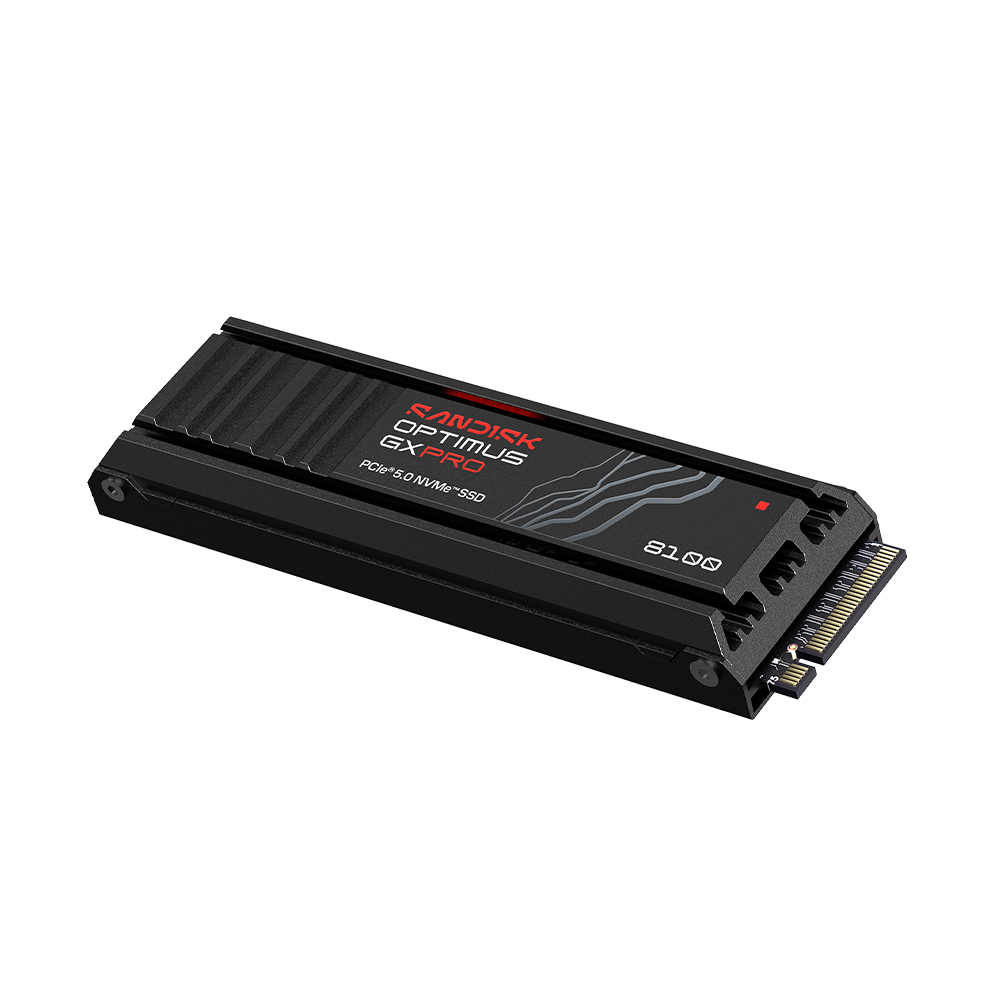 Sandisk Optimus GX PRO 8100 히트싱크 M.2 NVMe (1TB)_이미지