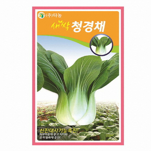 새싹청경채씨앗 1kg