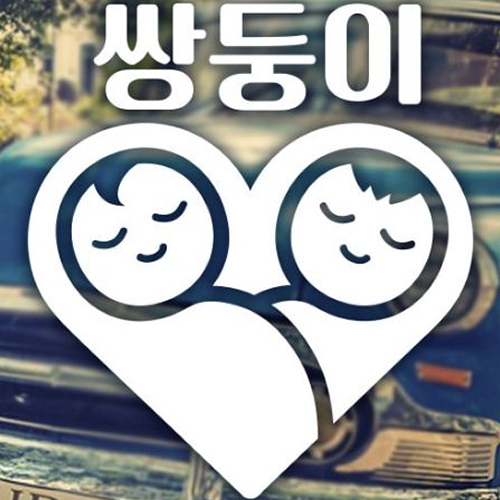 제제데코 픽토 하트쌍둥이 (반사)