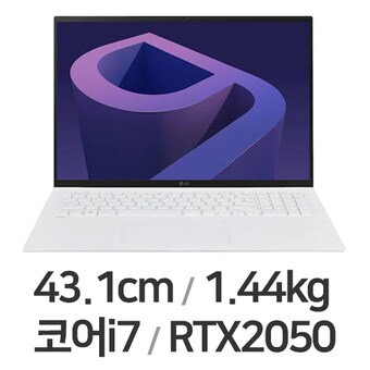 LG전자 2022 그램17(12세대) 17ZD90Q-EX76K WIN11