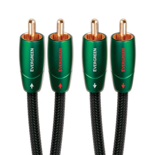 ���������Ʈ EVERGREEN 2RCA ���̺�