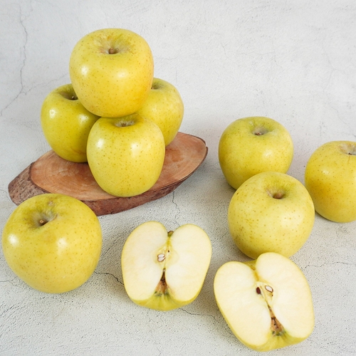 황금사과 시나노골드 가정용 13~15개(과) 5kg
