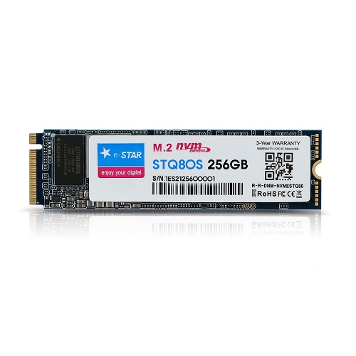 디지탈그리고나 e-STAR STQ80S M.2 NVMe (256GB)_이미지