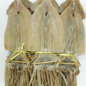 건어물천국 마른오징어 2.5kg 20미 왕특대 건조오징어_이미지