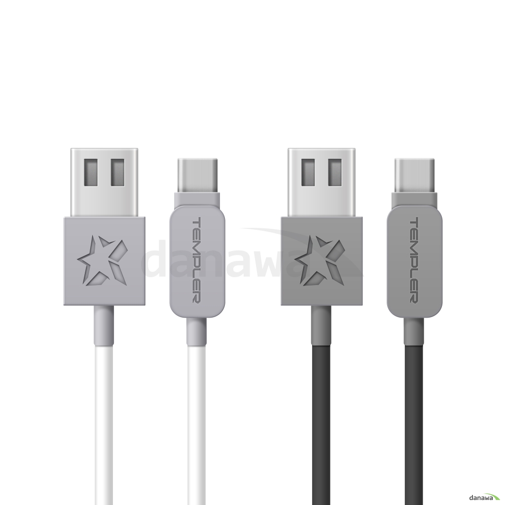 지스타코리아 TEMPLER C타입 충전 케이블