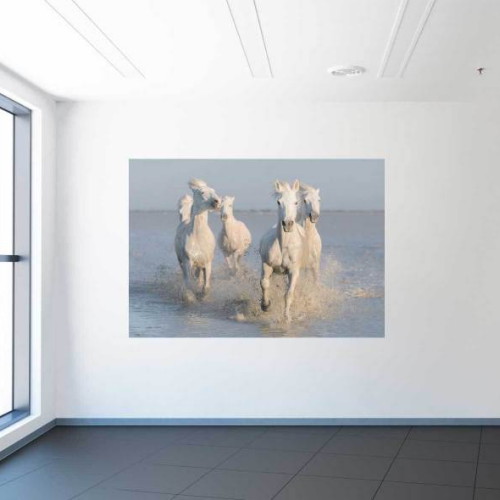마이월플레이즈 뮤럴 포인트벽지 풍수그림 백마 (1장, 180cm x 1.3m)_이미지