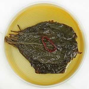 달콤 짭조름 군침도는 간장깻잎 400g  젓갈이야기  밥도둑 끝판왕 BEST 반찬모음전