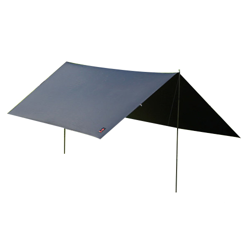 ���� �� Ÿ�� ���������