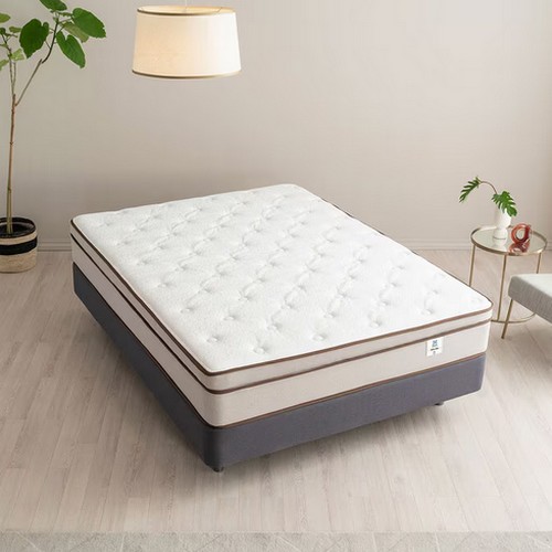 ���� ������ ����Ʈ ��Ʈ���� SS