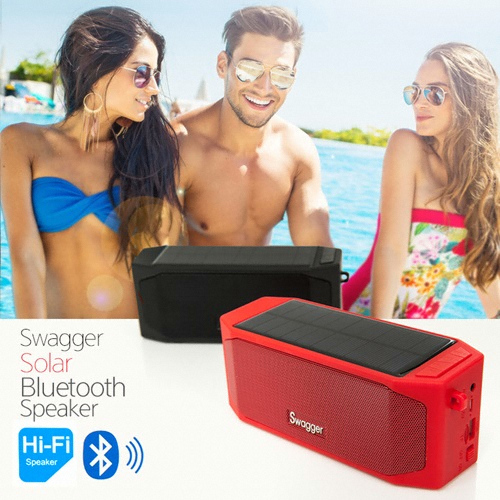 �������ڸ��� SW-S100