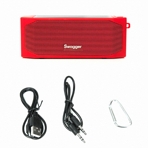 �������ڸ��� SW-S100