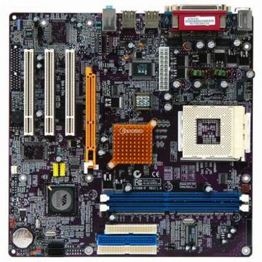 MSD KT600-M (벌크)_이미지