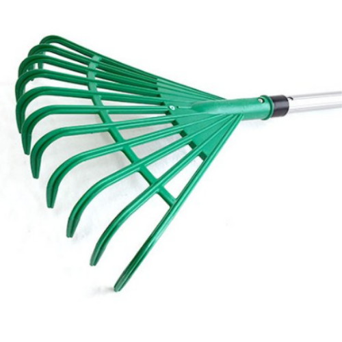 �ߴ� �и��� P ����