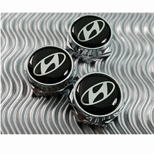 플러스타임 번호판 볼트 (현대)