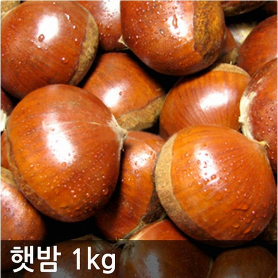 하양마트 햇밤 대 1kg (1개)_이미지
