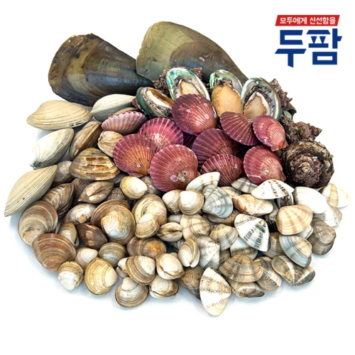 조개구이 2kg 세트 조개모듬 캠핑조개 실속세트 2kg 내외
