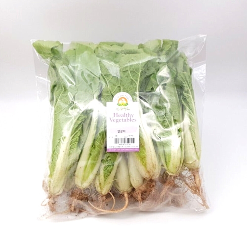 건강채소 국내산 간편야채 얼갈이 700g