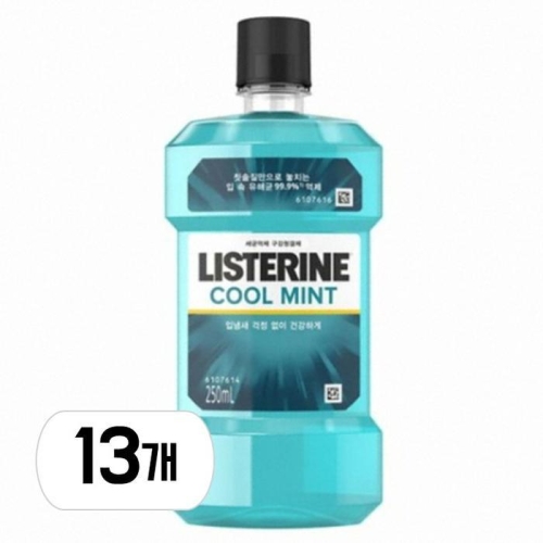 존슨앤존슨 리스테린 쿨민트 250ml (13개)