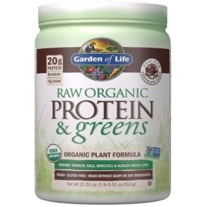 RAW 유기농 식물성 단백질 초콜릿 카카오 610g