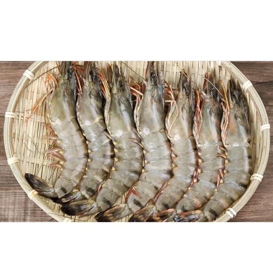 특 A급 블랙타이거 새우 30개(마리) 500g (1개)_이미지