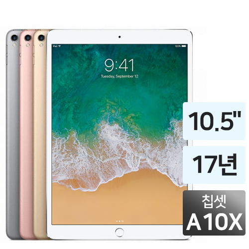 APPLE iPad Pro 10.5 중고