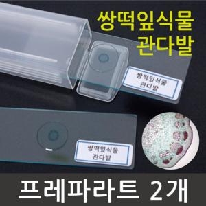 프레파라트 프레파라트 식물