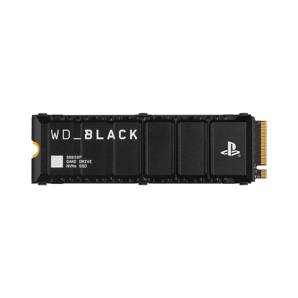 Western Digital WD BLACK SN850P 히트싱크 for PS5 M.2 NVMe (1TB)
