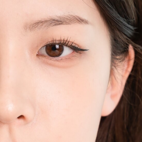 드라마틱 워터프루프 펜 아이라이너 0.5g