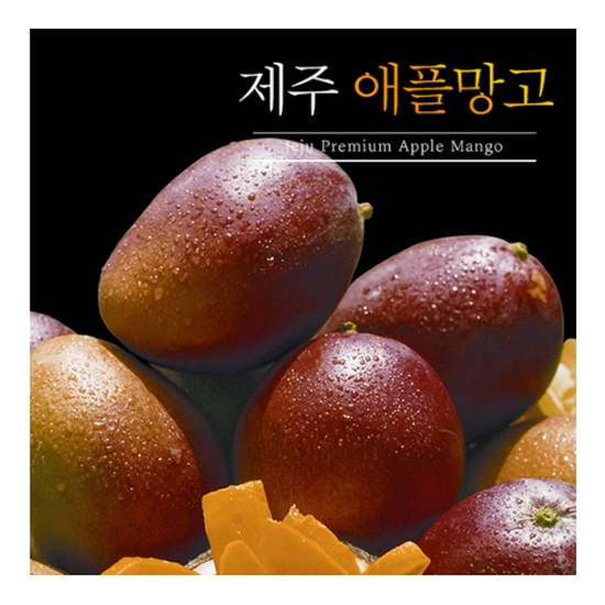 제주감귤농업협동조합 애플망고 9~10개(과) 3kg (1개)_이미지
