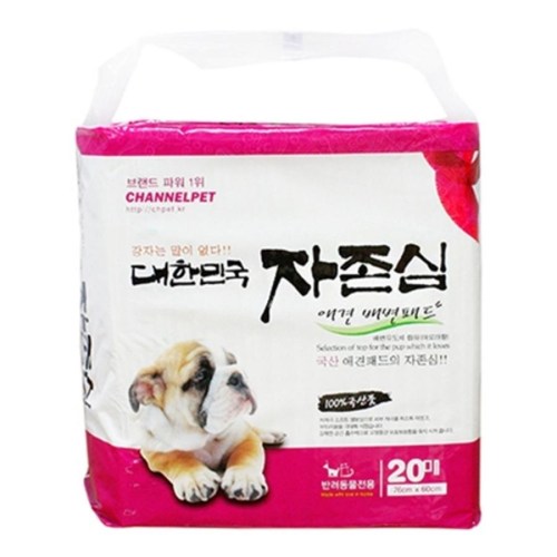 �ٻ������� ���ѹα� ������ �е� �ʴ��� 20��