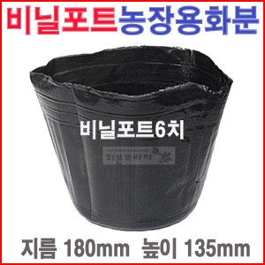 도매전문화분프라자 비닐포트6치 5개 /칼라/육묘/농장/블루베리/모종화분_이미지