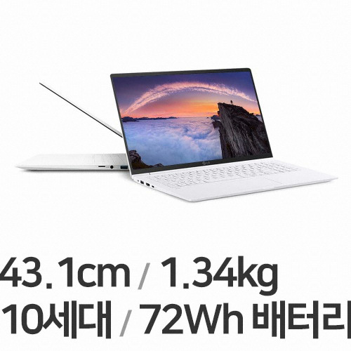 LG전자 2020 그램17 17ZD995-VX50K (SSD 256GB)