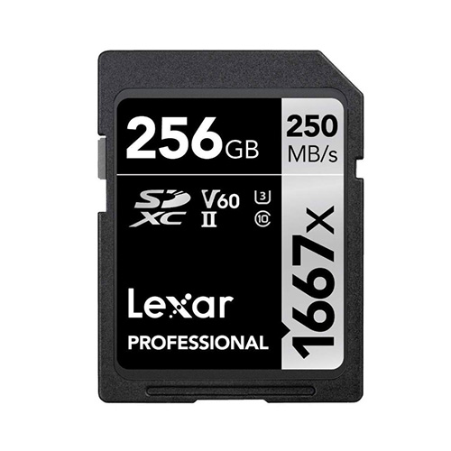 렉사  SD Professional 1667X 해외구매 [256GB] 상품이미지