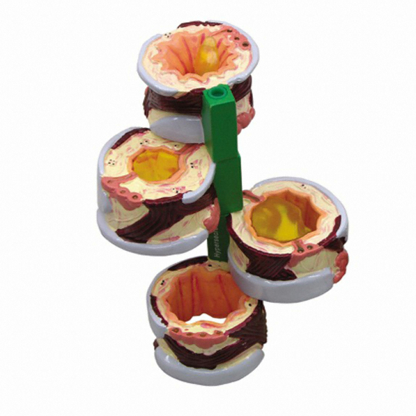 GPI G312 ��������� 4�и�