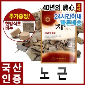 자애인 국산 말린 노근 300g 갈대뿌리