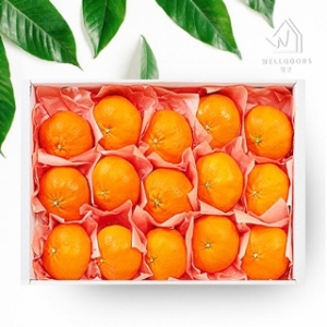 웰굿 제주직송 레드향 선물세트 1.5kg 10-12과,소과